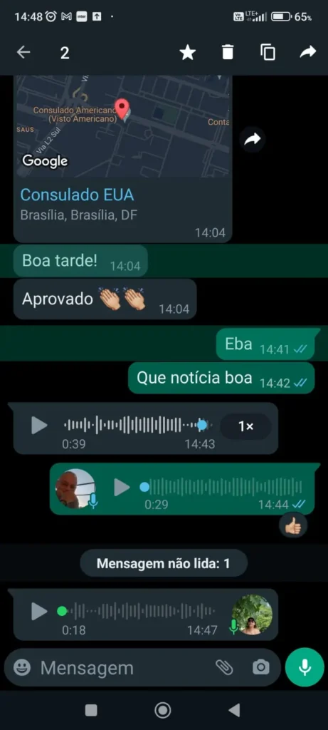 consultoria de visto americano